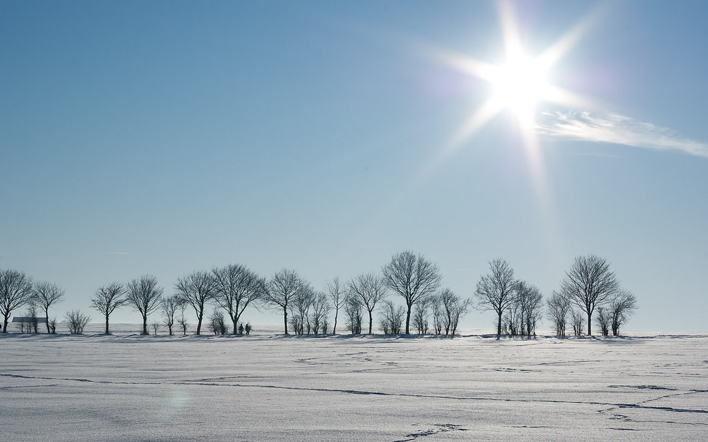 Haxterberg im Winter