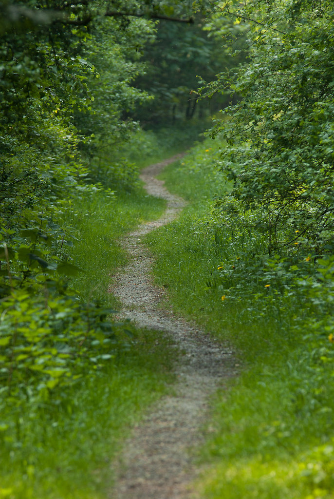 Monte Scherbelino