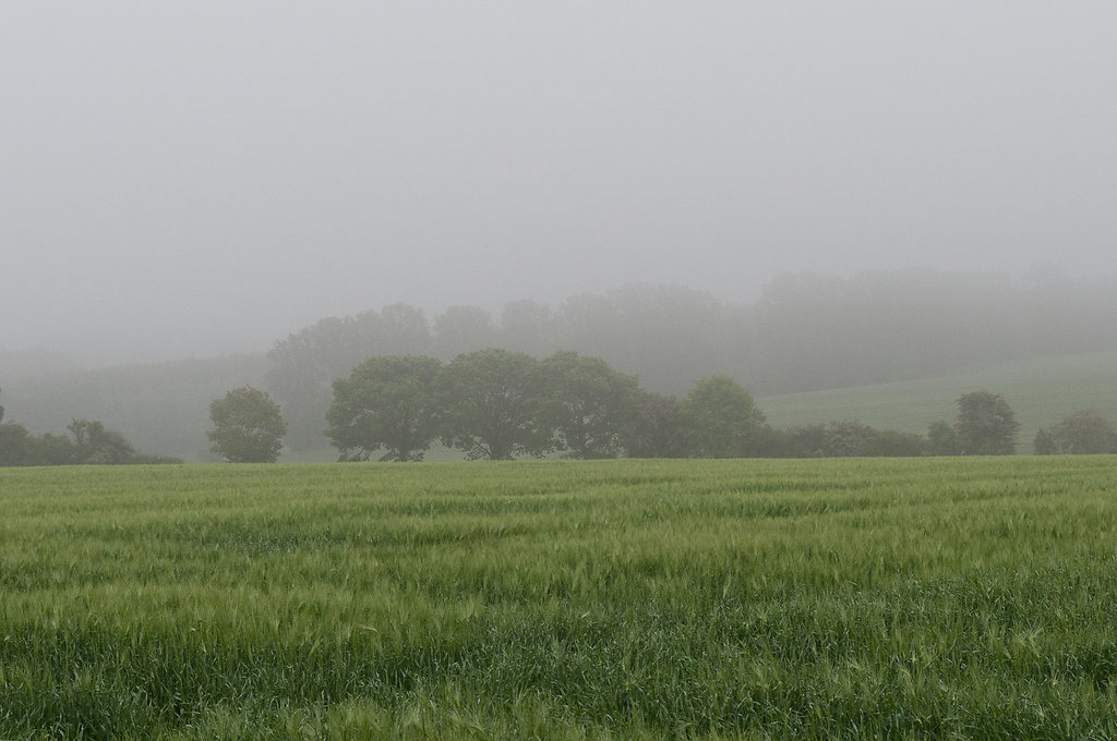 Nebel